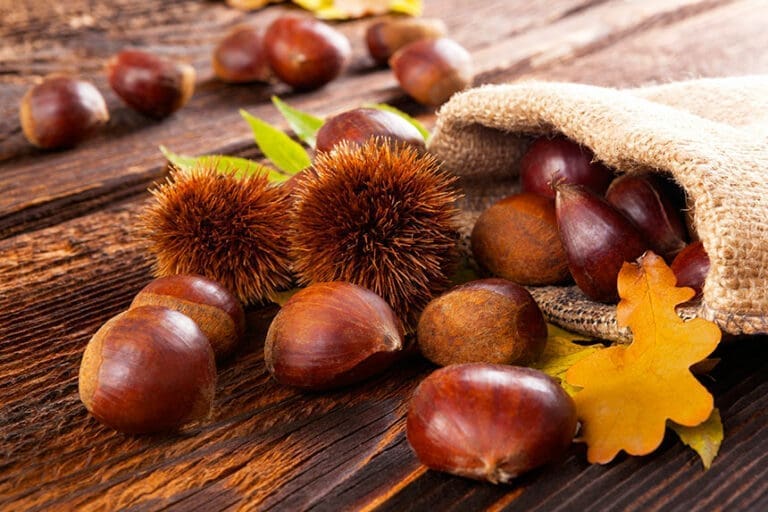 Beneficios de comer castañas y sus propiedades nutritivas - MGC Mutua