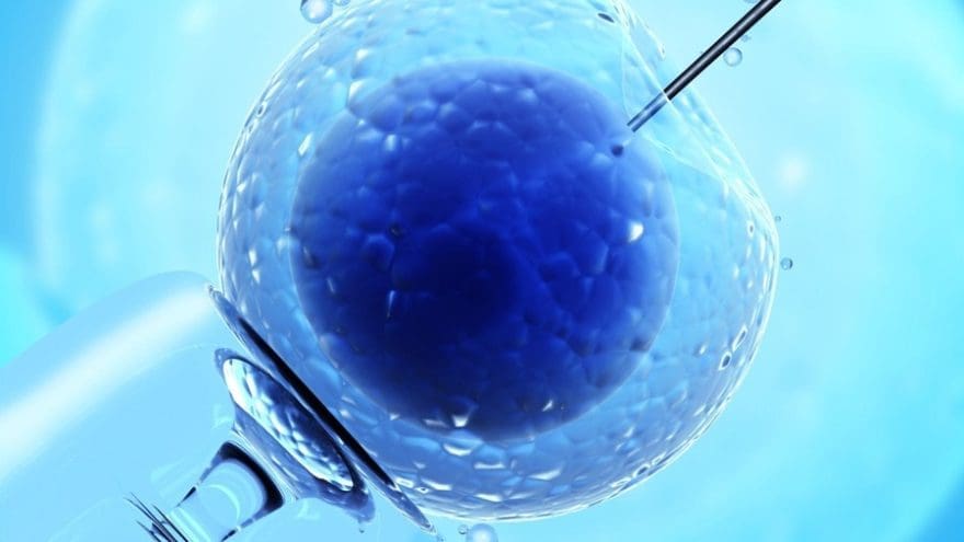 inseminacion artificial intentos