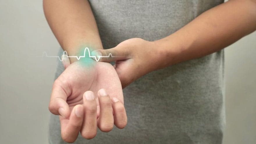 pulsaciones normales