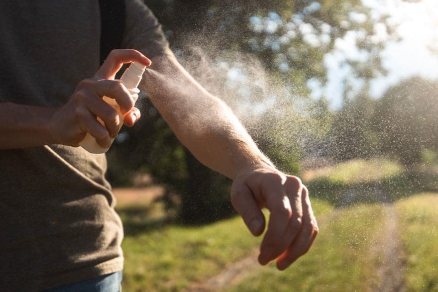 Mosquitera en ventana como medida de prevención contra los mosquitos en casa